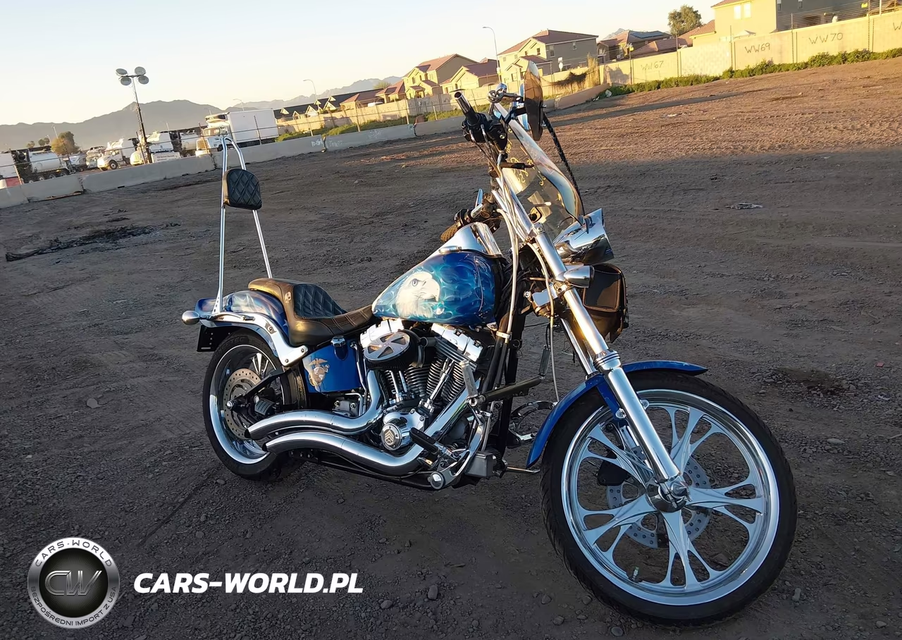2007 Harley-Davidson Fxst