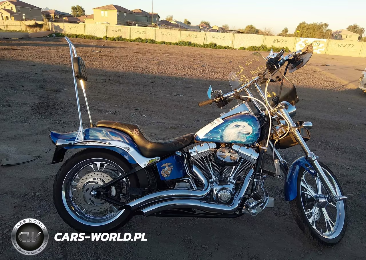 2007 Harley-Davidson Fxst VIN:1HD1BV5167Y011026 - 11
