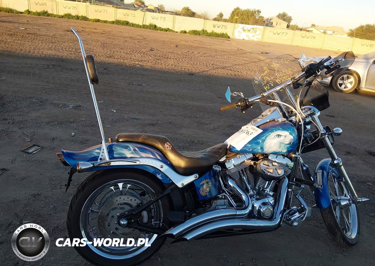2007 Harley-Davidson Fxst VIN:1HD1BV5167Y011026 - 16