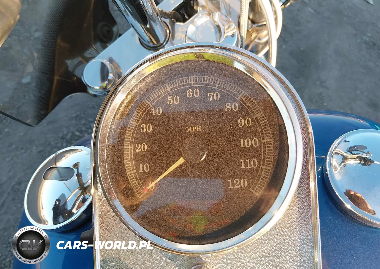2007 Harley-Davidson Fxst VIN:1HD1BV5167Y011026 - 7