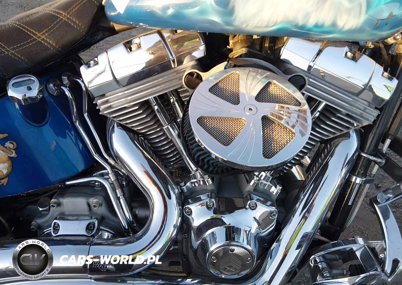 2007 Harley-Davidson Fxst VIN:1HD1BV5167Y011026 - 8
