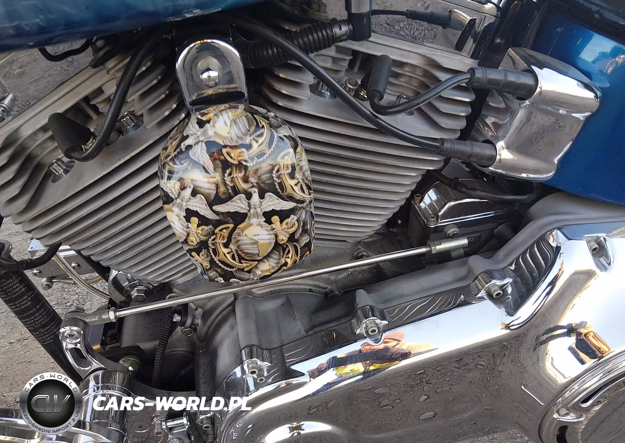 2007 Harley-Davidson Fxst VIN:1HD1BV5167Y011026 - 9