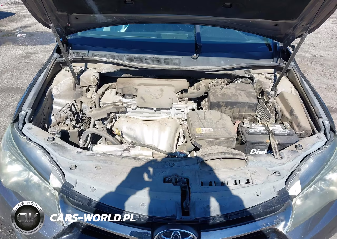 2017 Toyota Camry Xse VIN:4T1BF1FK9HU289563 - 10