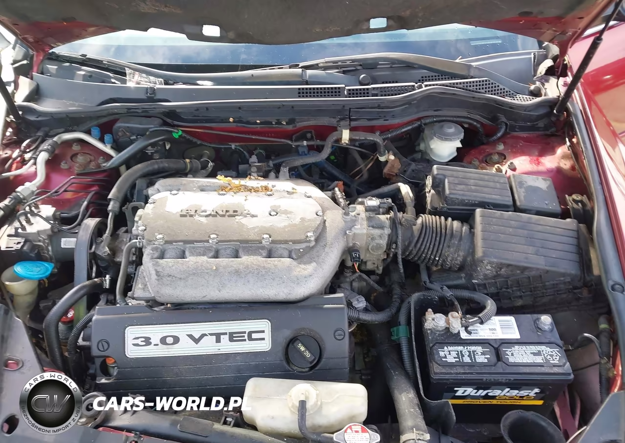 2004 Honda Accord 3.0 Ex VIN:1HGCM66844A038544 - 10