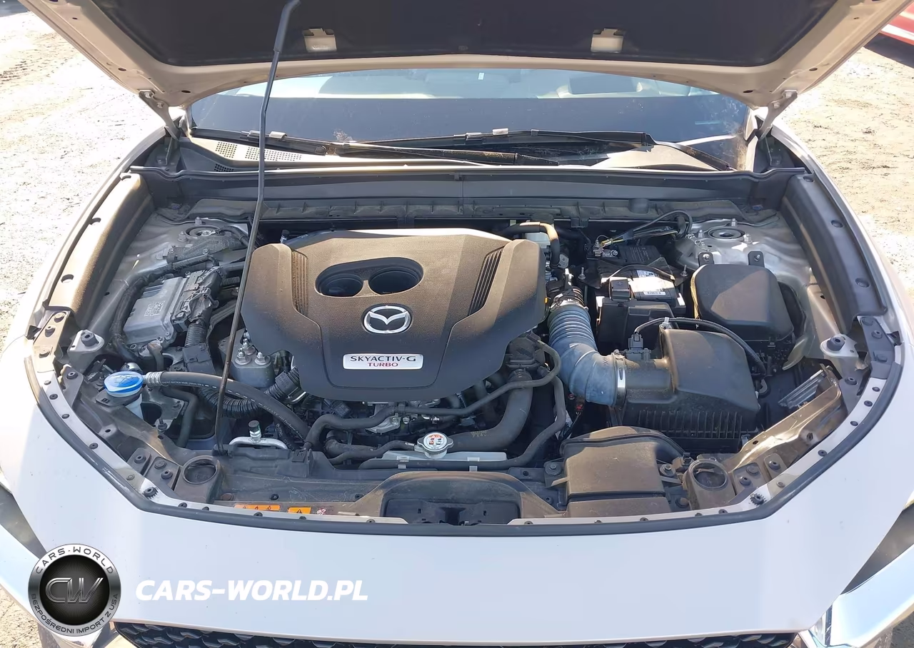 2023 Mazda Cx-30 2.5 Turbo Premium Plus VIN:3MVDMBEYXPM541465 - 10