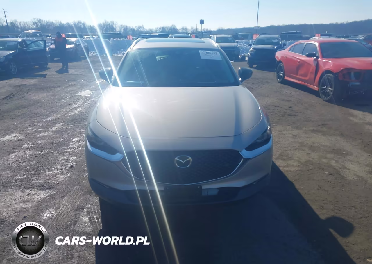 2023 Mazda Cx-30 2.5 Turbo Premium Plus VIN:3MVDMBEYXPM541465 - 12