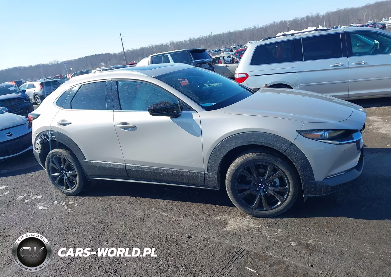 2023 Mazda Cx-30 2.5 Turbo Premium Plus VIN:3MVDMBEYXPM541465 - 13