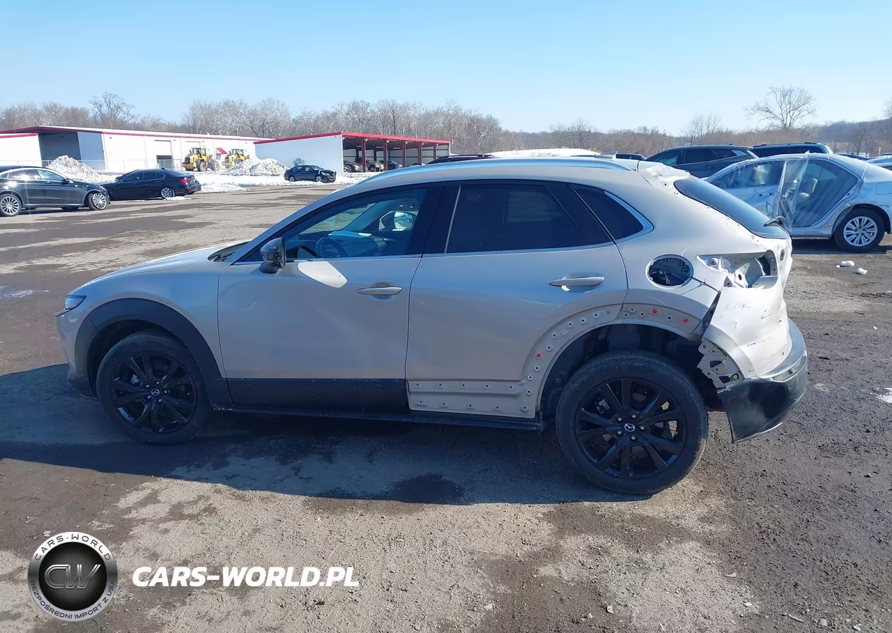 2023 Mazda Cx-30 2.5 Turbo Premium Plus VIN:3MVDMBEYXPM541465 - 14