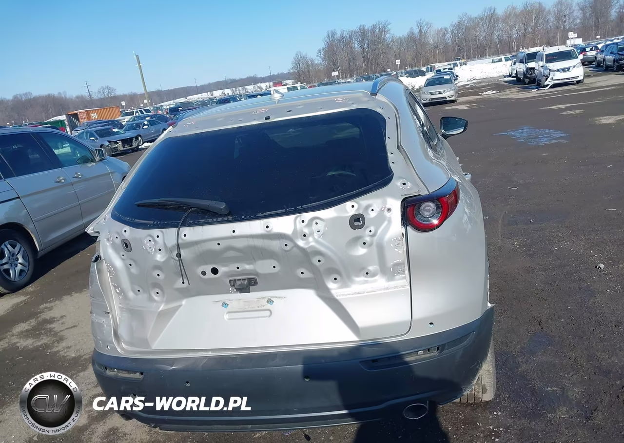 2023 Mazda Cx-30 2.5 Turbo Premium Plus VIN:3MVDMBEYXPM541465 - 16