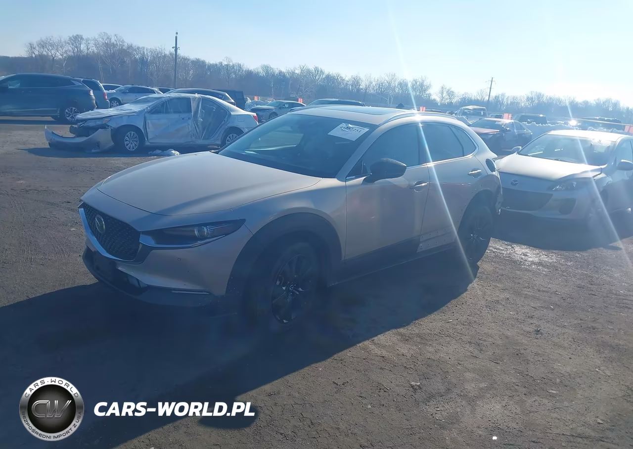 2023 Mazda Cx-30 2.5 Turbo Premium Plus VIN:3MVDMBEYXPM541465 - 2