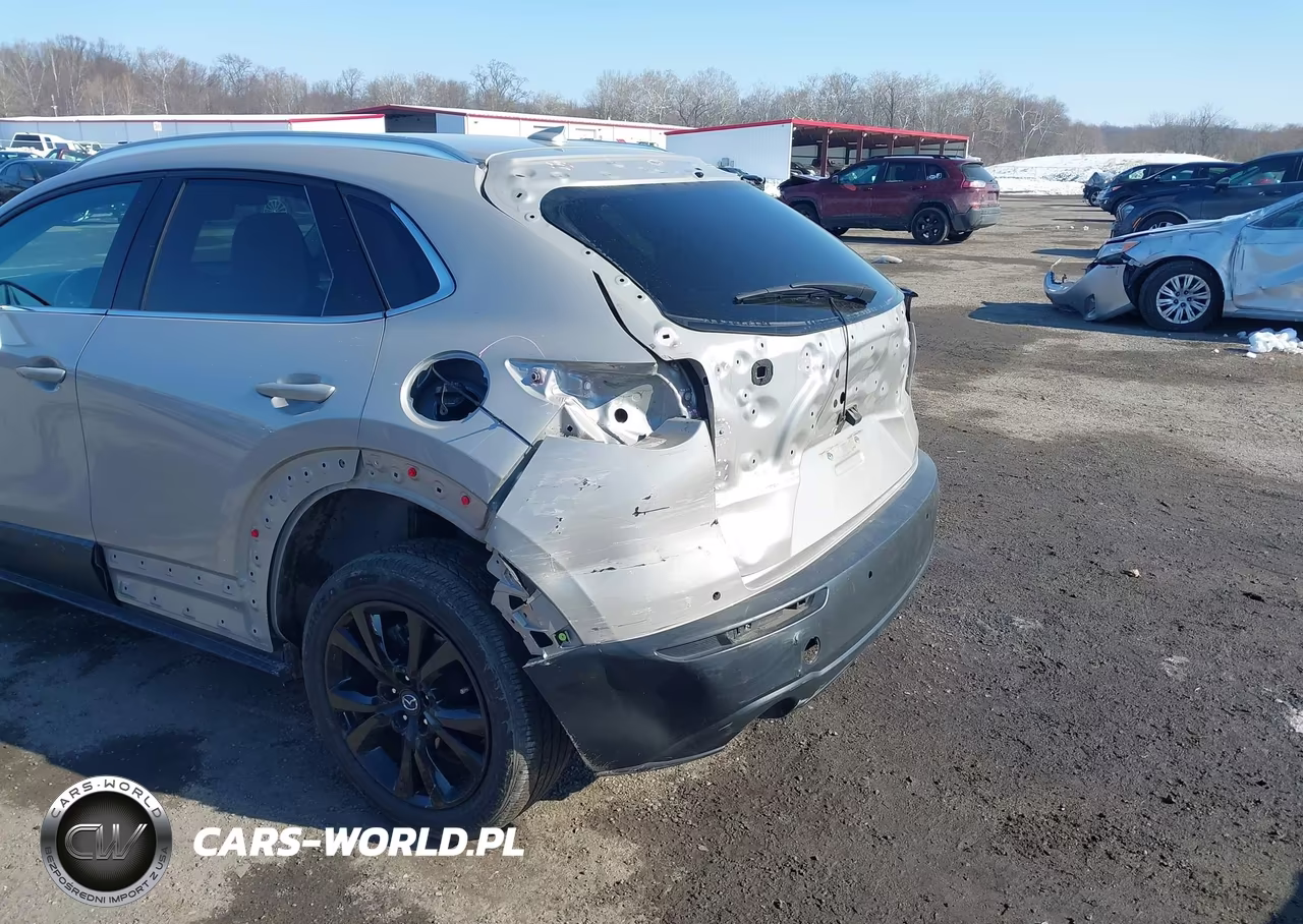 2023 Mazda Cx-30 2.5 Turbo Premium Plus VIN:3MVDMBEYXPM541465 - 6