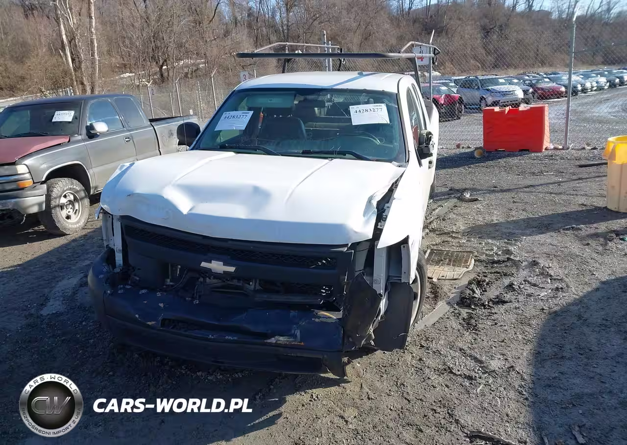 2011 Chevrolet Silverado 1500 Work Truck VIN:1GCRCPE00BZ391956 - 11