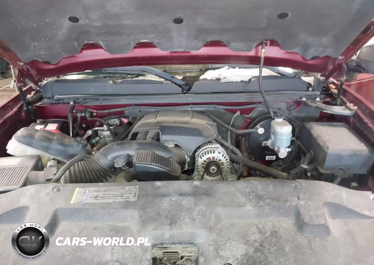 2009 Chevrolet Silverado 1500 Lt VIN:1GCEK29J89Z226450 - 10