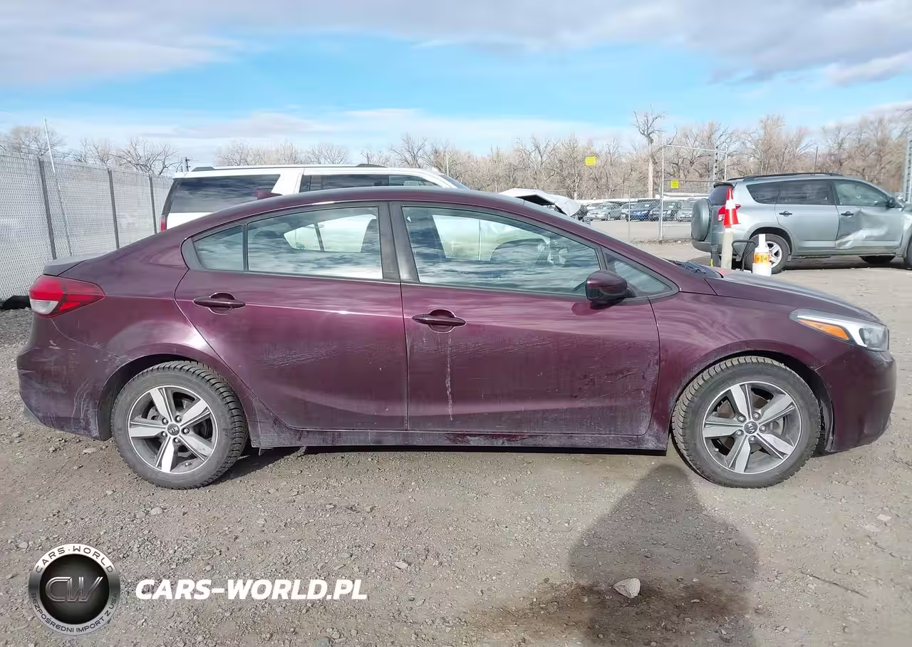 2018 Kia Forte Lx VIN:3KPFL4A79JE170676 - 13