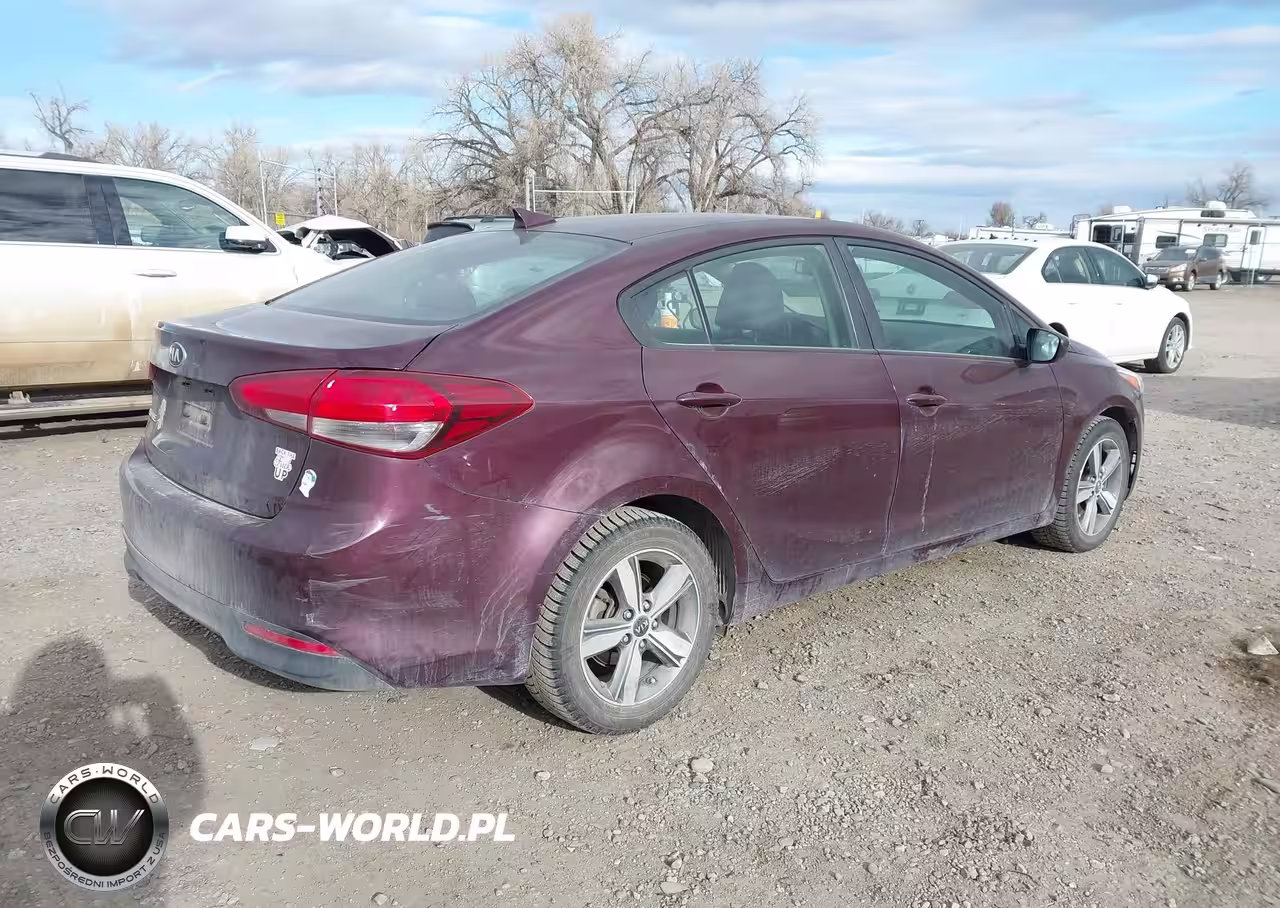 2018 Kia Forte Lx VIN:3KPFL4A79JE170676 - 4
