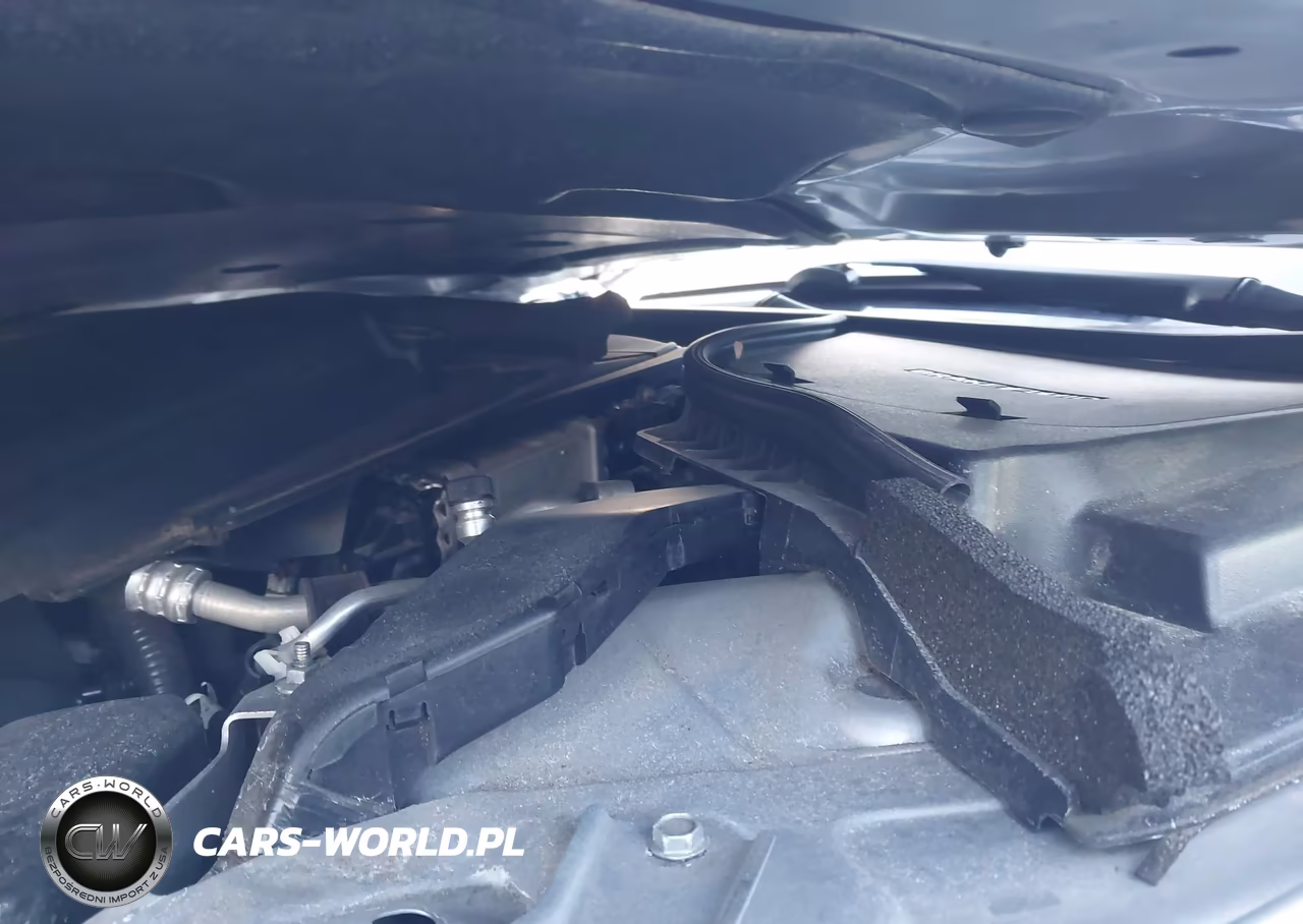 2019 Infiniti Q50 3.0T Sport VIN:JN1EV7AP3KM540288 - 10