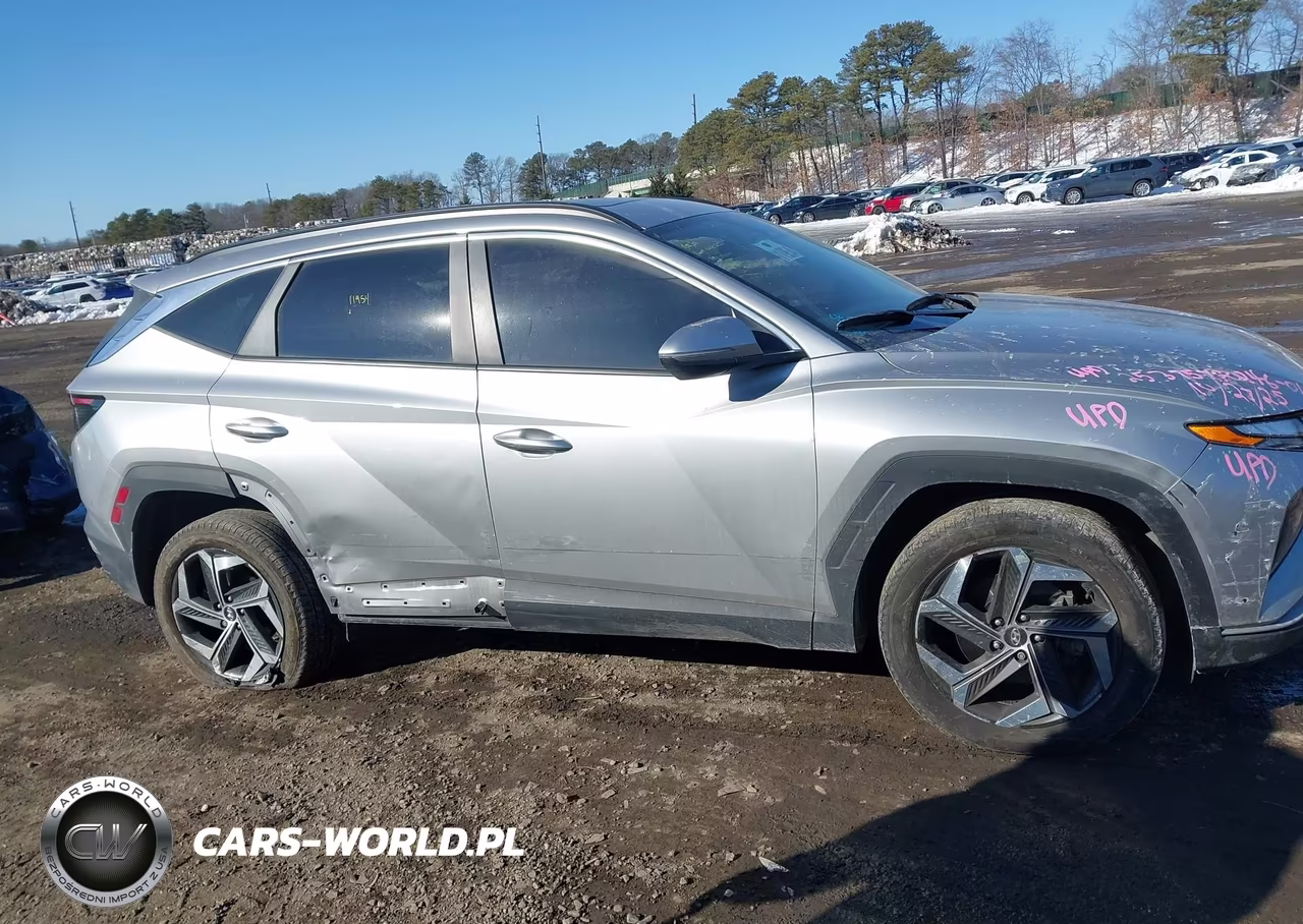 2024 Hyundai Tucson Sel VIN:5NMJFCDE2RH336367 - 13