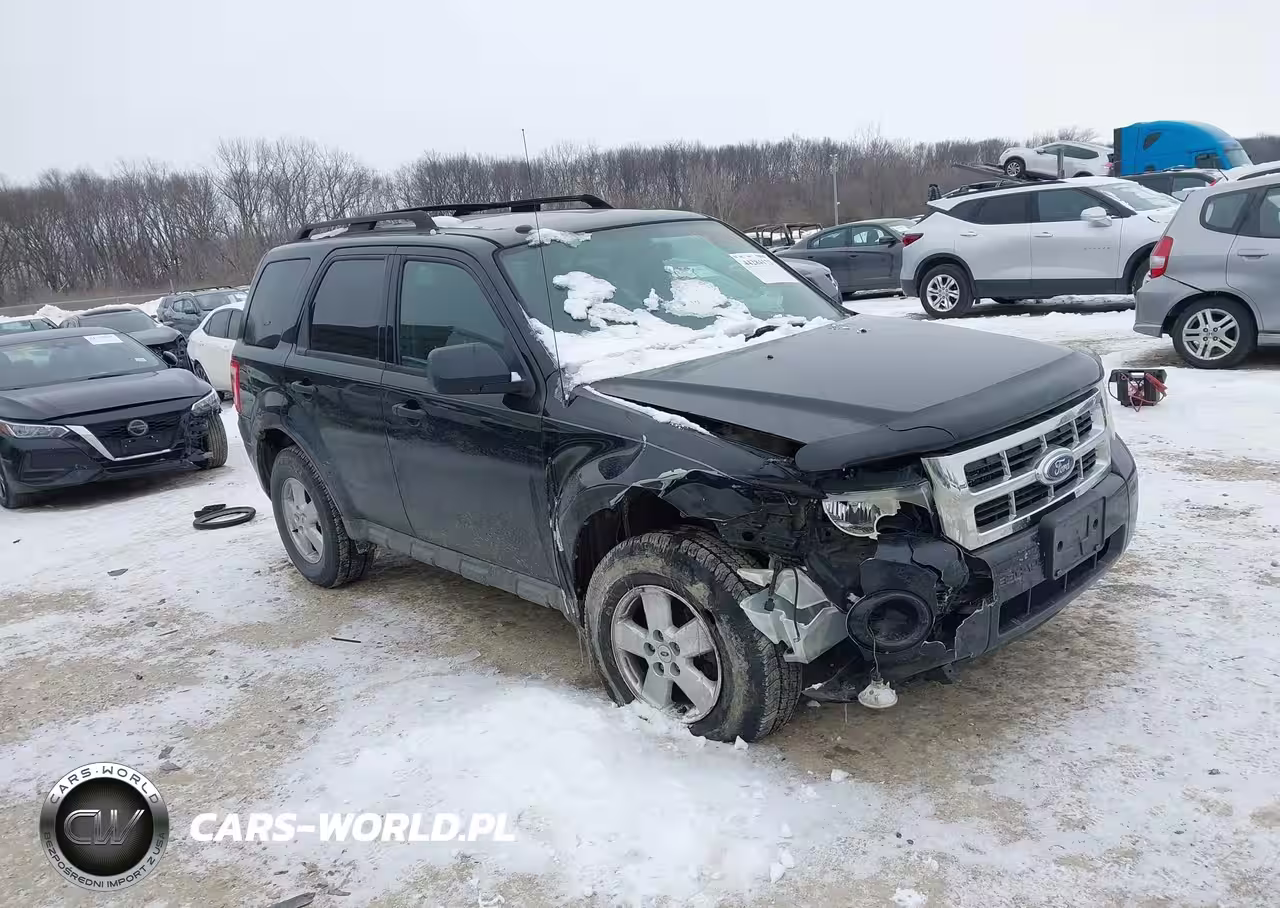 Główne zdjęcie 2009 Ford Escape Xlt