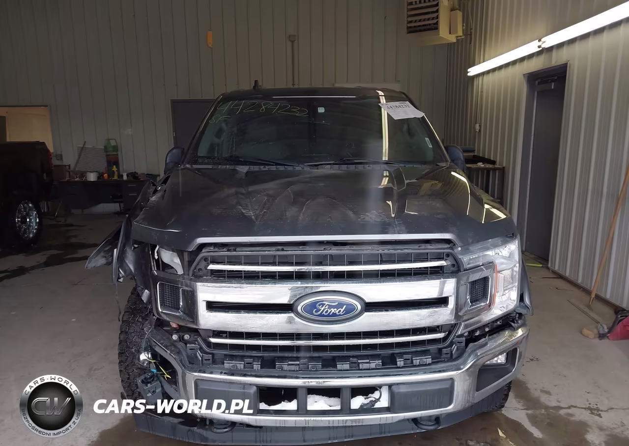 2019 Ford F-150 Xlt VIN:1FTEW1E50KFB96651 - 12