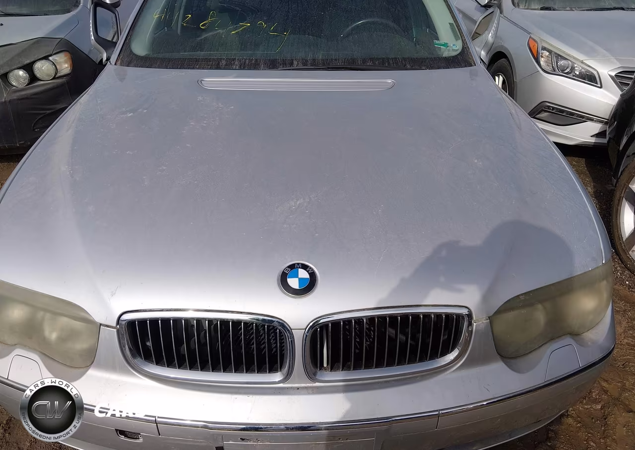 2002 BMW 745Li VIN:WBAGN63452DR05568 - 10