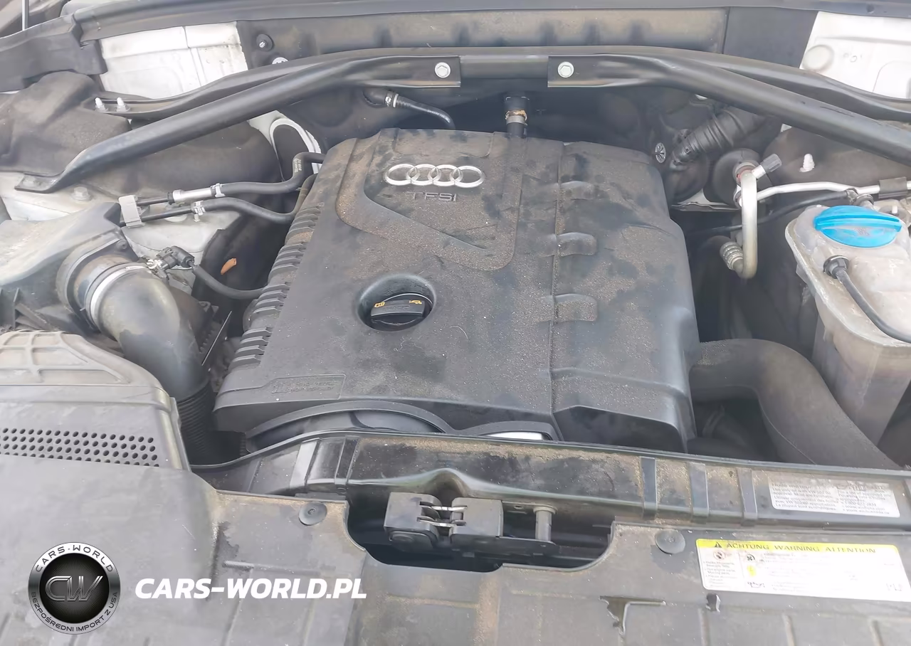 2013 Audi Q5 2.0T Premium VIN:WA1LFAFP9DA097196 - 10