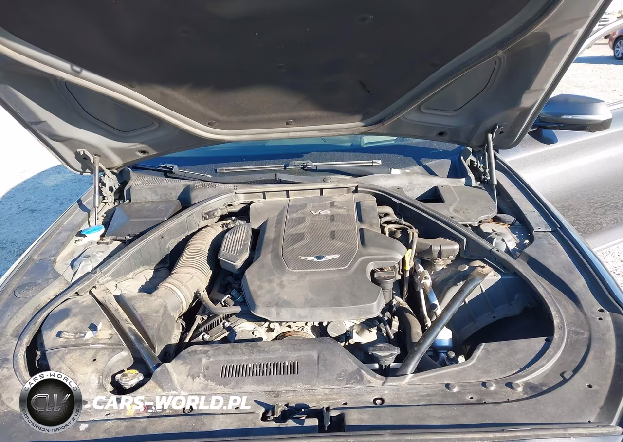 2018 Genesis G80 3.8 VIN:KMHGN4JE2JU272069 - 10