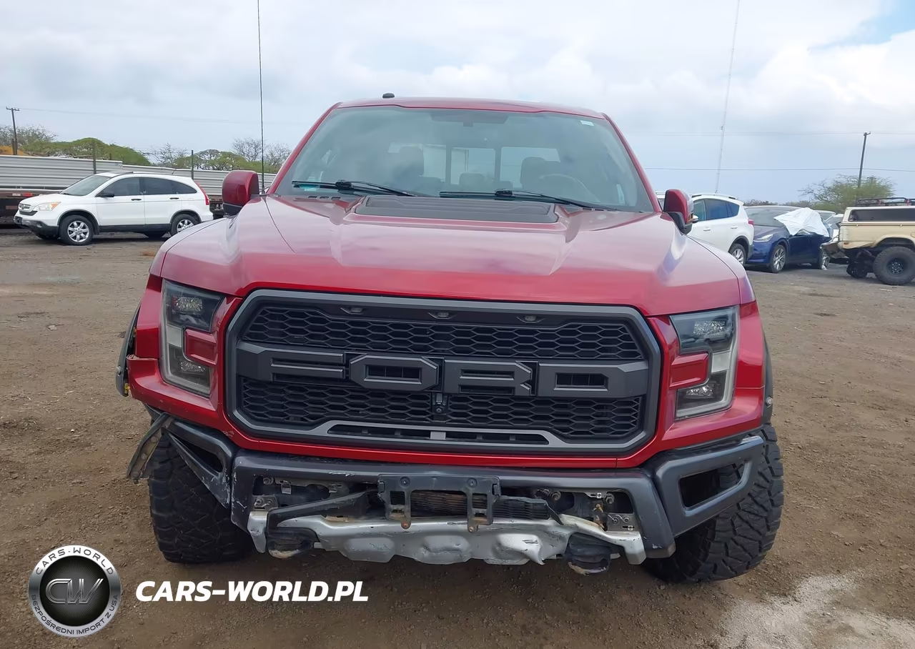 2017 Ford F-150 Raptor VIN:1FTFW1RG4HFB67212 - 13