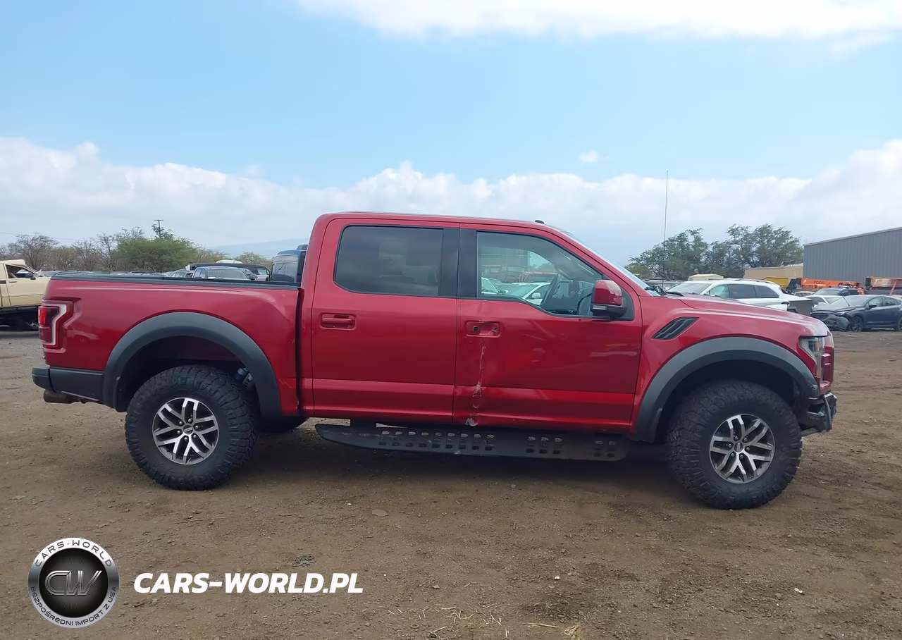2017 Ford F-150 Raptor VIN:1FTFW1RG4HFB67212 - 14