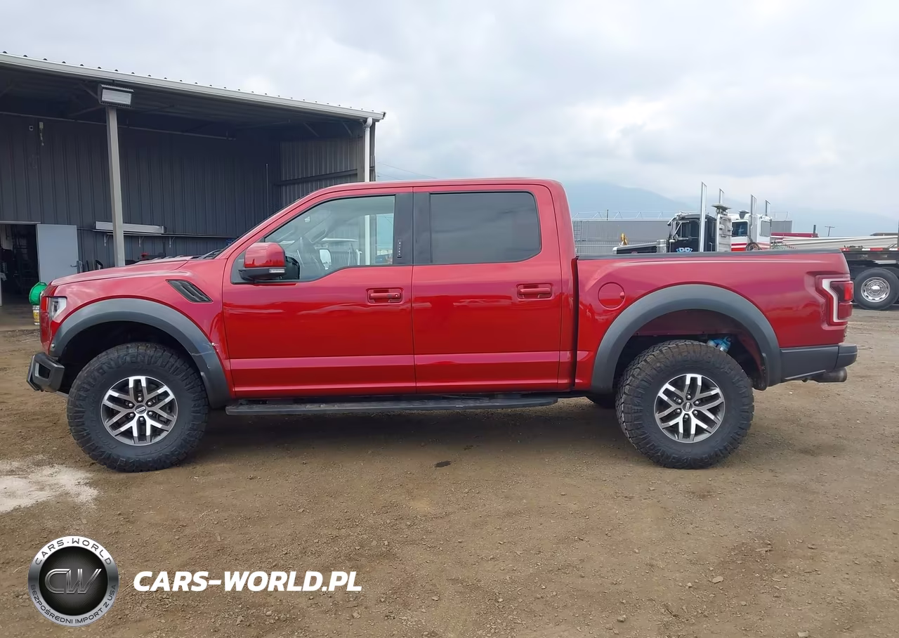 2017 Ford F-150 Raptor VIN:1FTFW1RG4HFB67212 - 15