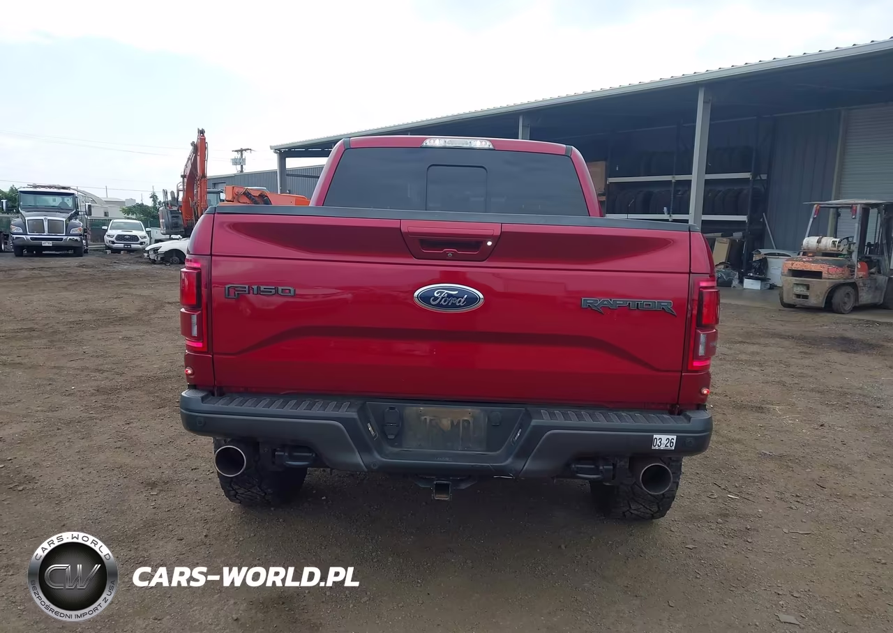 2017 Ford F-150 Raptor VIN:1FTFW1RG4HFB67212 - 17
