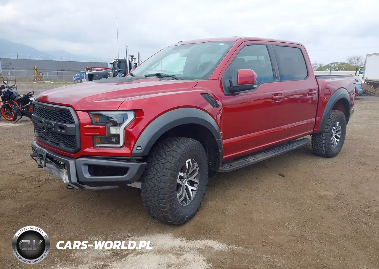 2017 Ford F-150 Raptor VIN:1FTFW1RG4HFB67212 - 2