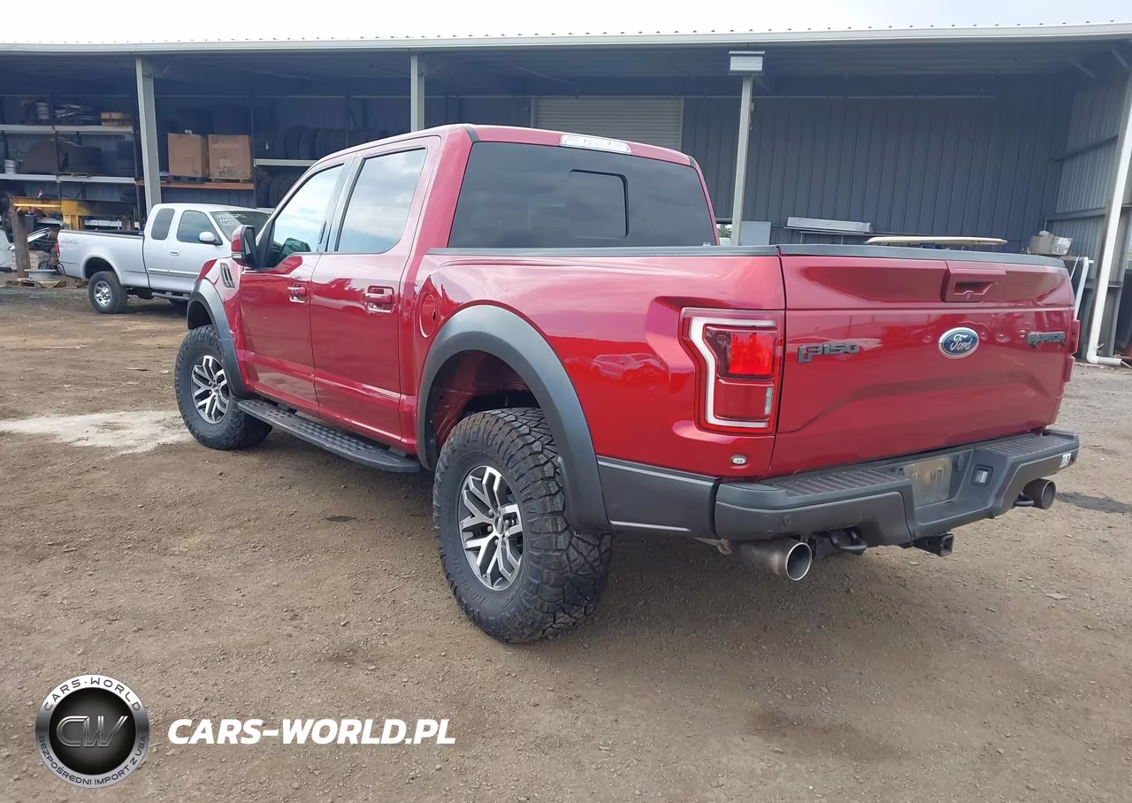 2017 Ford F-150 Raptor VIN:1FTFW1RG4HFB67212 - 3