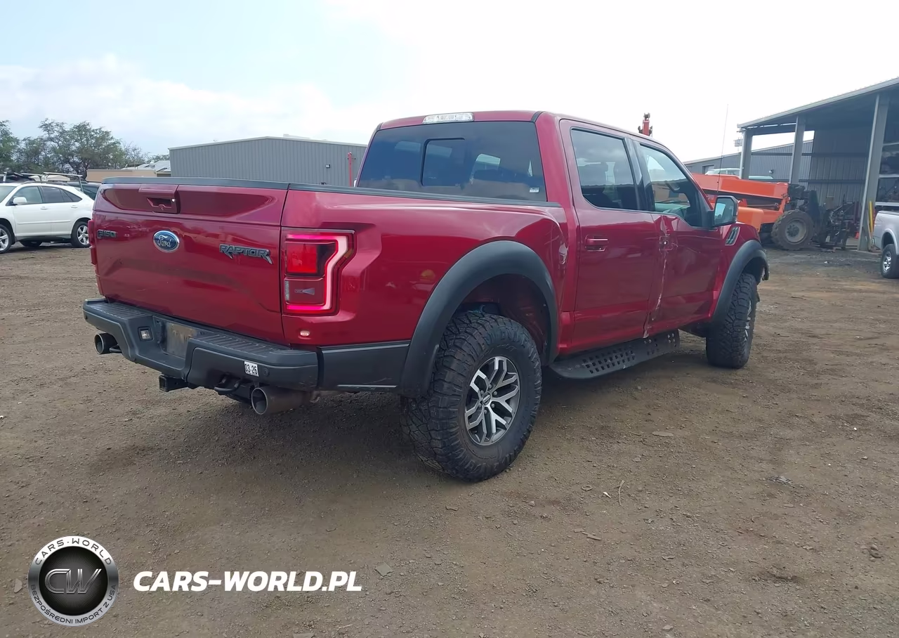 2017 Ford F-150 Raptor VIN:1FTFW1RG4HFB67212 - 4