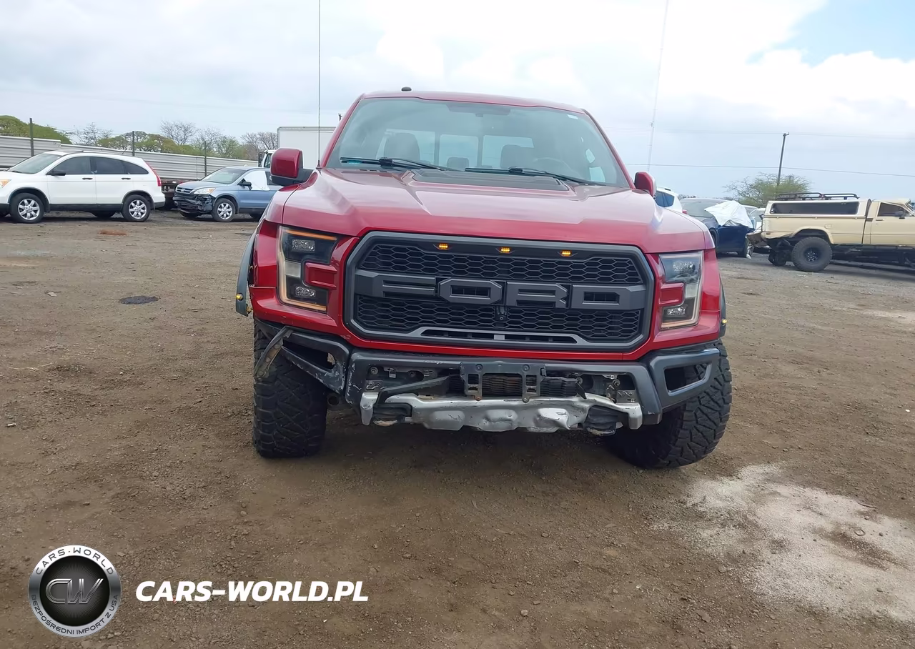 2017 Ford F-150 Raptor VIN:1FTFW1RG4HFB67212 - 6
