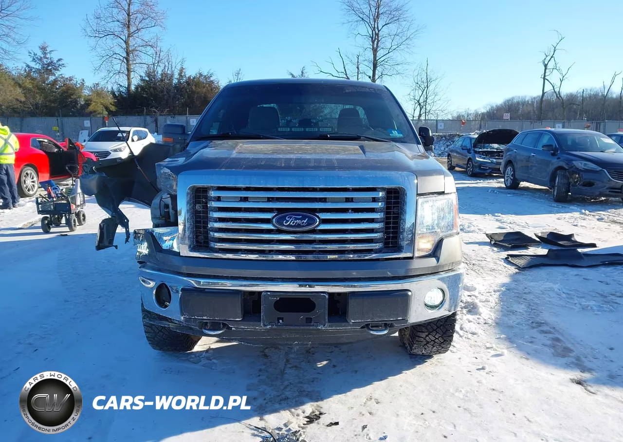 2012 Ford F-150 Xlt VIN:1FTFX1EF1CFC51345 - 12