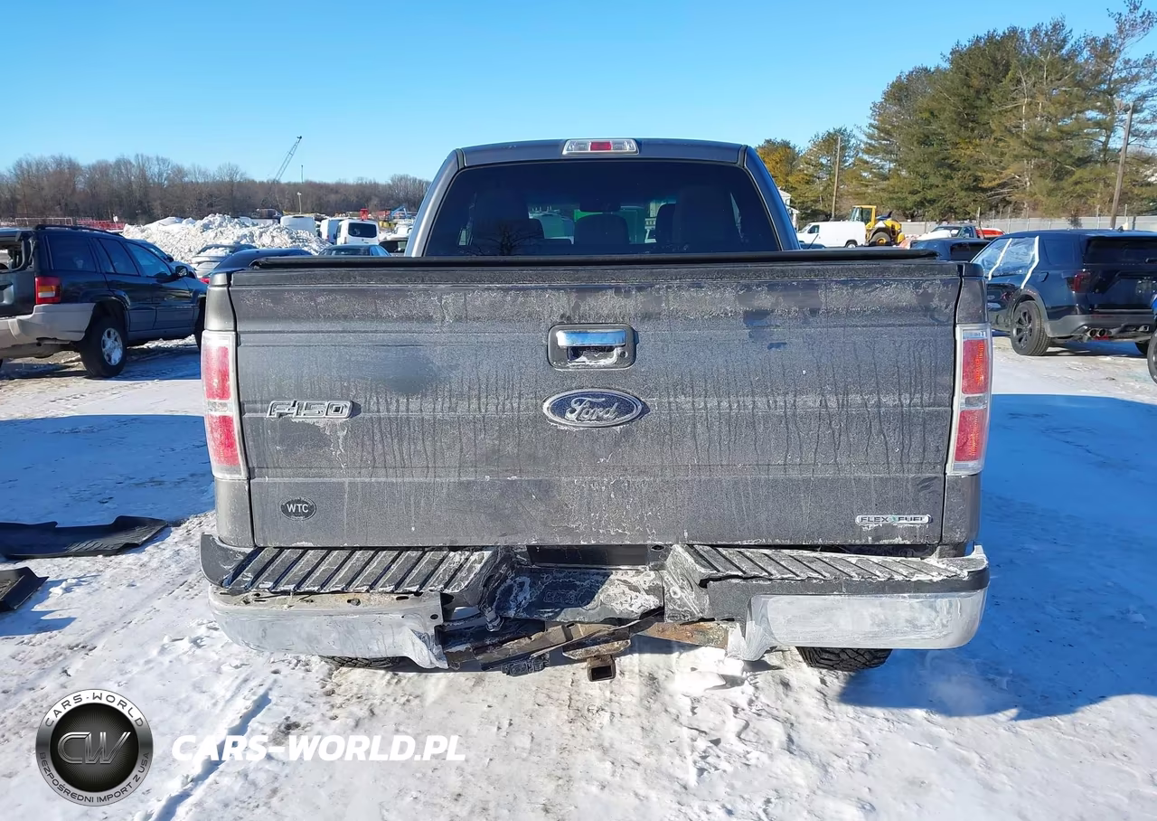 2012 Ford F-150 Xlt VIN:1FTFX1EF1CFC51345 - 16
