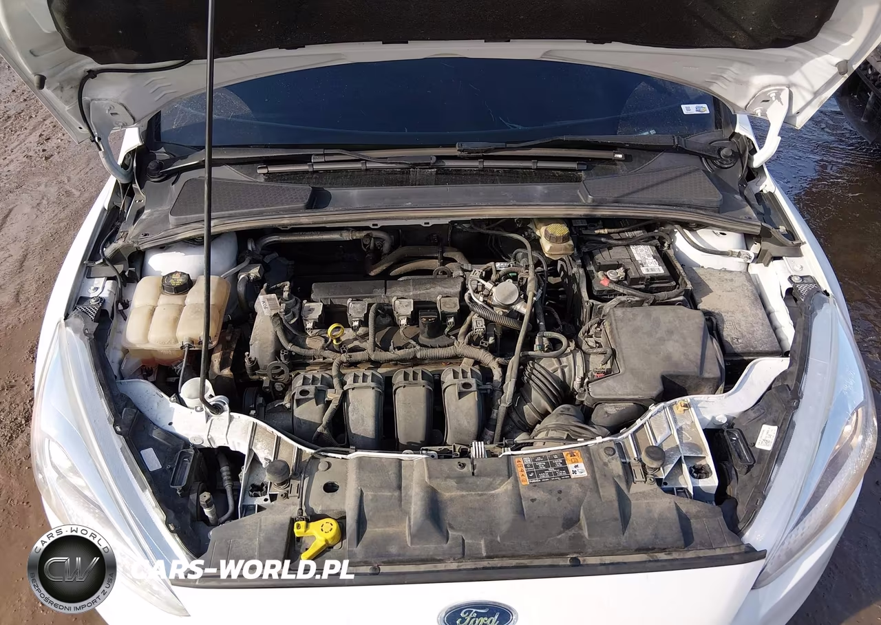 2017 Ford Focus Se VIN:1FADP3F2XHL218888 - 10