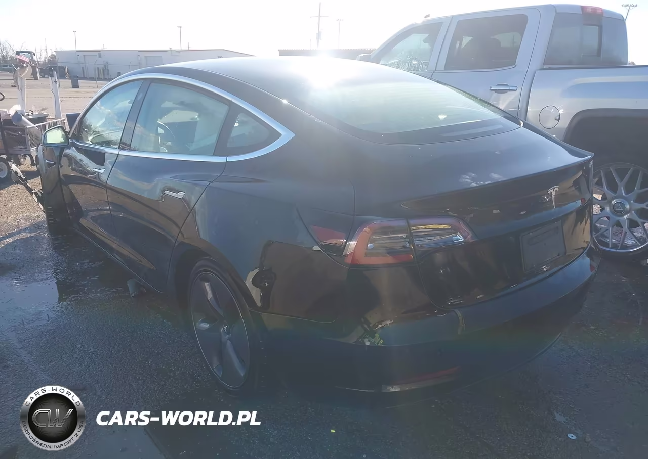 2020 Tesla Model 3 Standard Range Plus Rear-Wheel Drive-Standard Range Rear-Wheel Drive VIN:5YJ3E1EA5LF808372 - 3