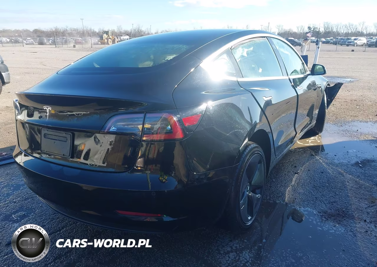 2020 Tesla Model 3 Standard Range Plus Rear-Wheel Drive-Standard Range Rear-Wheel Drive VIN:5YJ3E1EA5LF808372 - 4