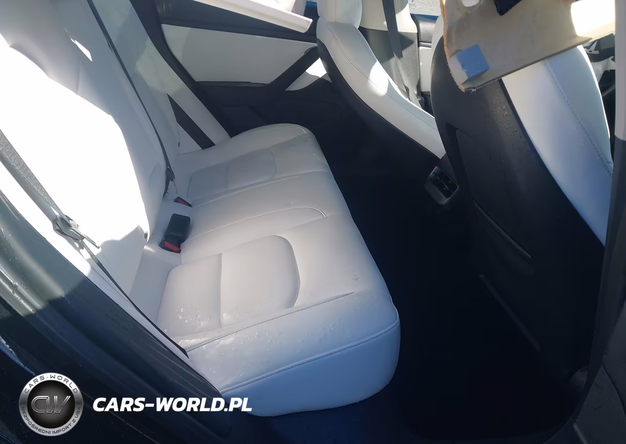 2020 Tesla Model 3 Standard Range Plus Rear-Wheel Drive-Standard Range Rear-Wheel Drive VIN:5YJ3E1EA5LF808372 - 8