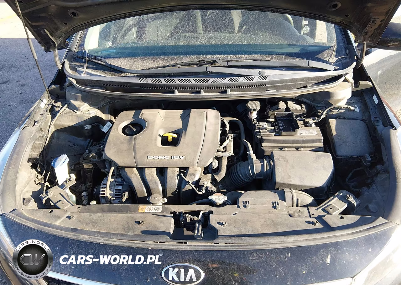 2017 Kia Forte Lx VIN:3KPFK4A77HE116676 - 10