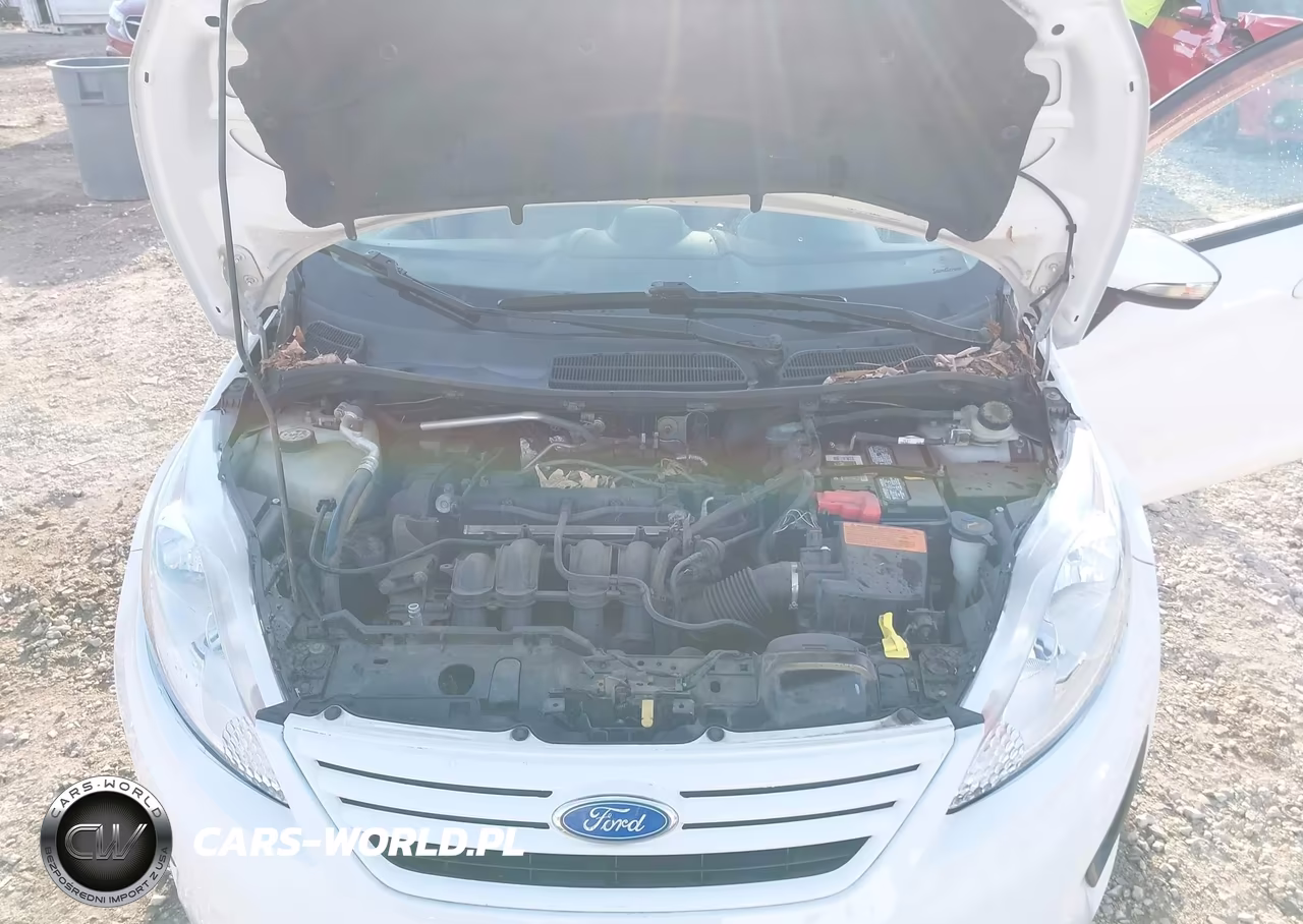 2013 Ford Fiesta Se VIN:3FADP4BJ0DM123123 - 10
