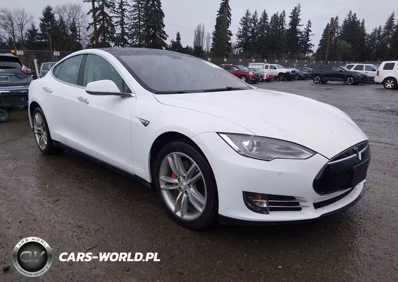 2014 Tesla Model S P85
