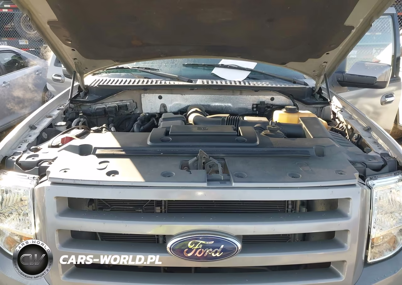 FORD EXPEDITION VIN:1FMFU19588LA32347 - 10