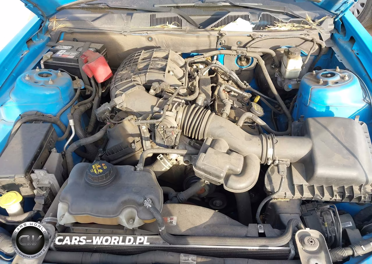 2014 Ford Mustang V6 VIN:1ZVBP8AM8E5258360 - 10