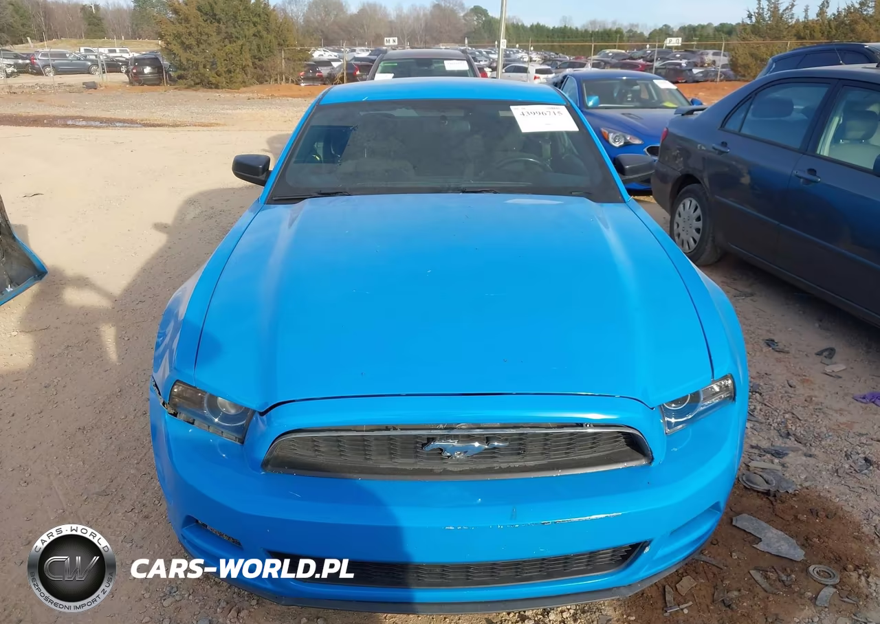 2014 Ford Mustang V6 VIN:1ZVBP8AM8E5258360 - 12