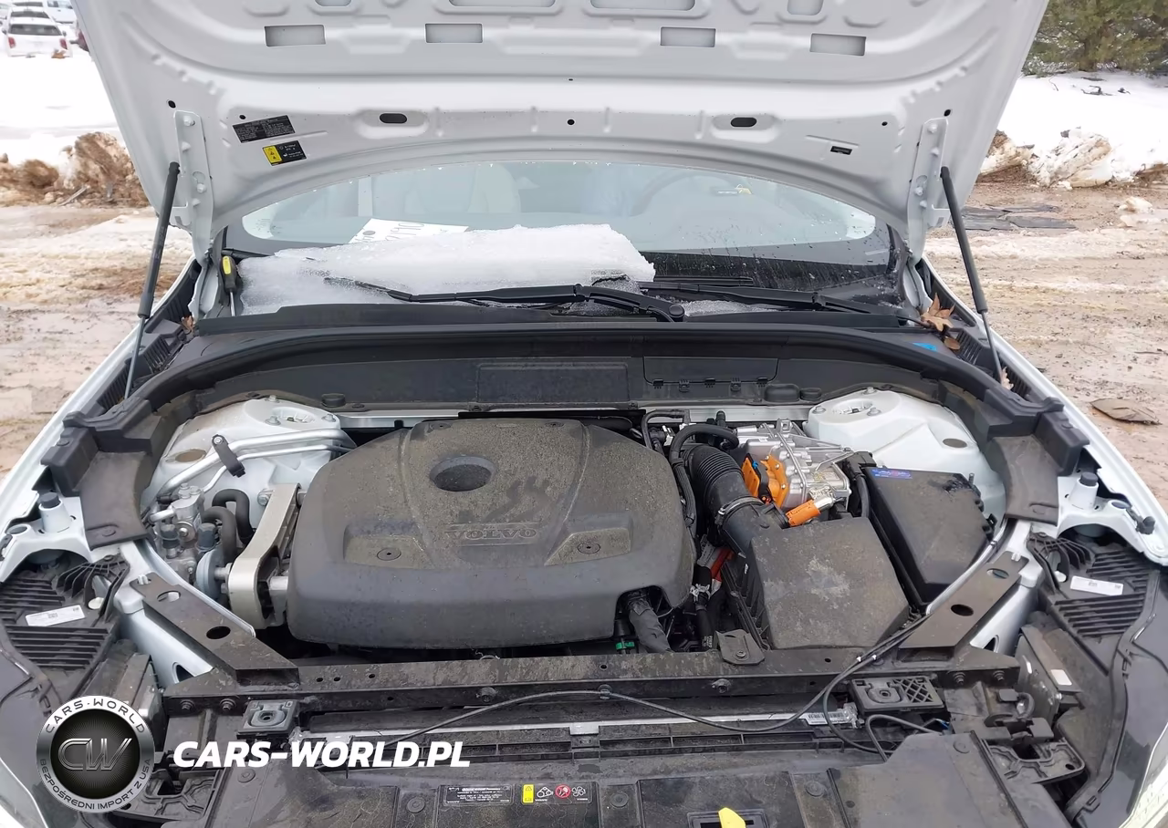 2024 Volvo Xc60 Recharge Plug-In Hybrid T8 Plus Dark Theme VIN:YV4H60DL0R1781810 - 10