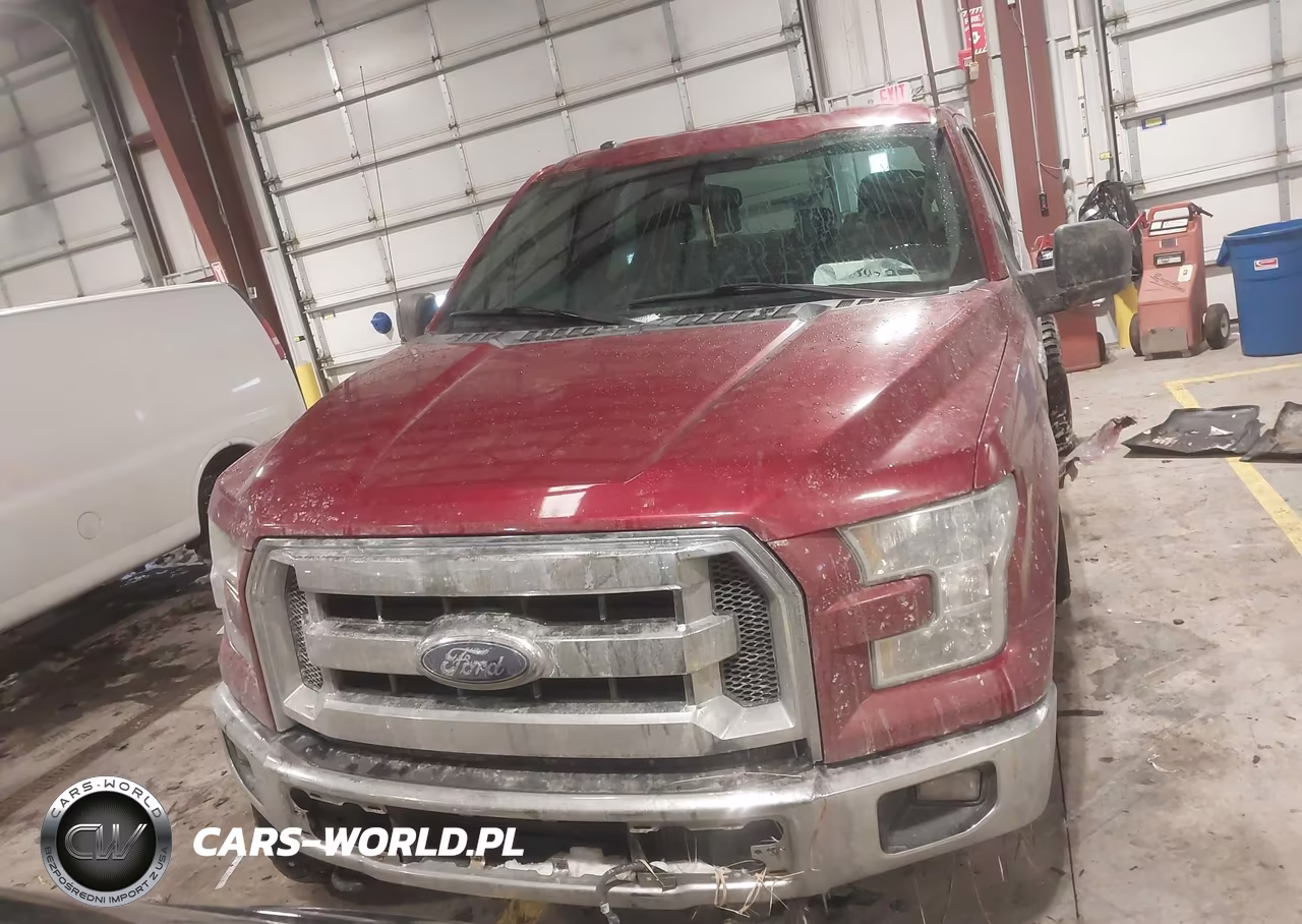 2015 Ford F-150 Xlt VIN:1FTEW1EG2FFC63600 - 12
