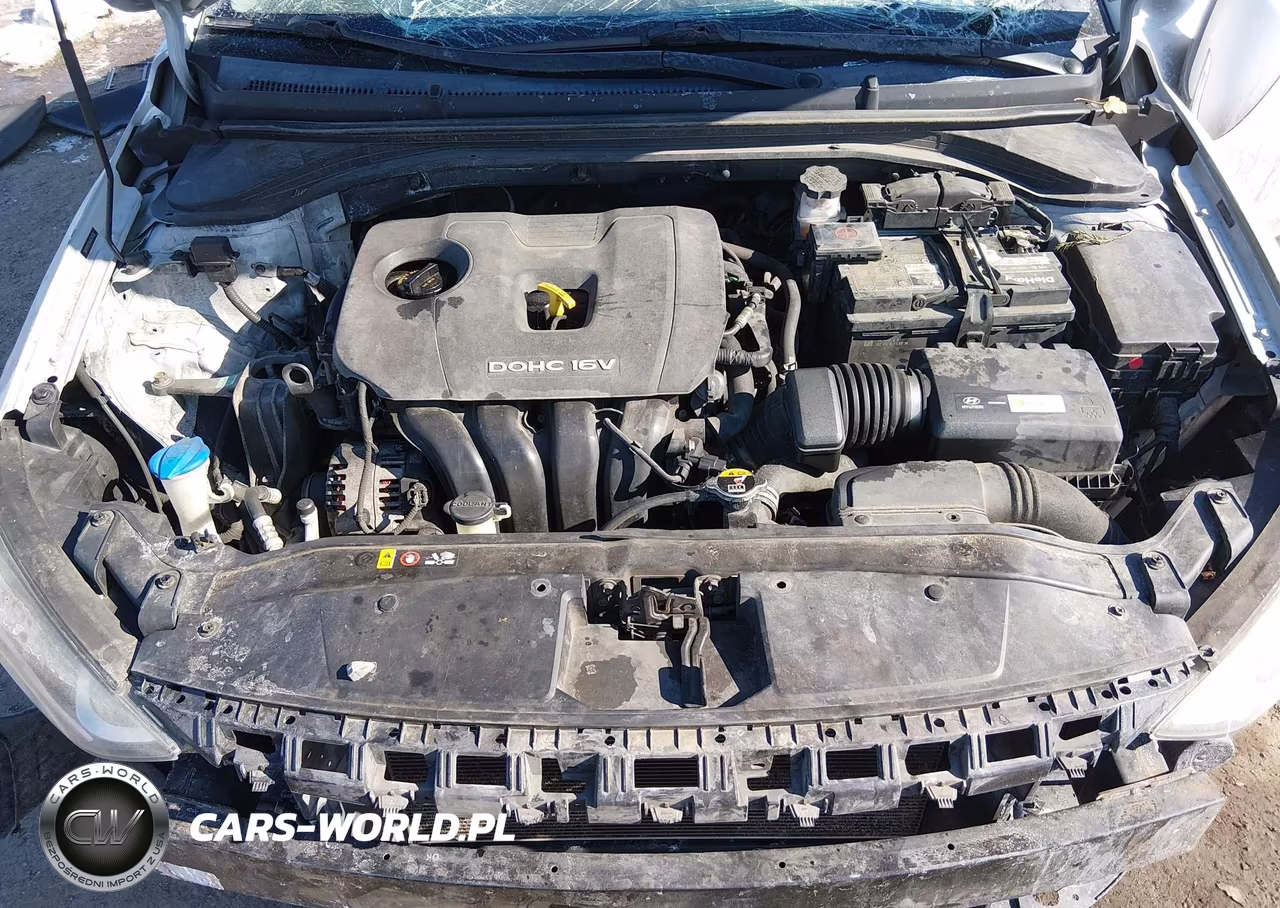 2017 Hyundai Elantra Limited VIN:5NPD84LFXHH003438 - 10
