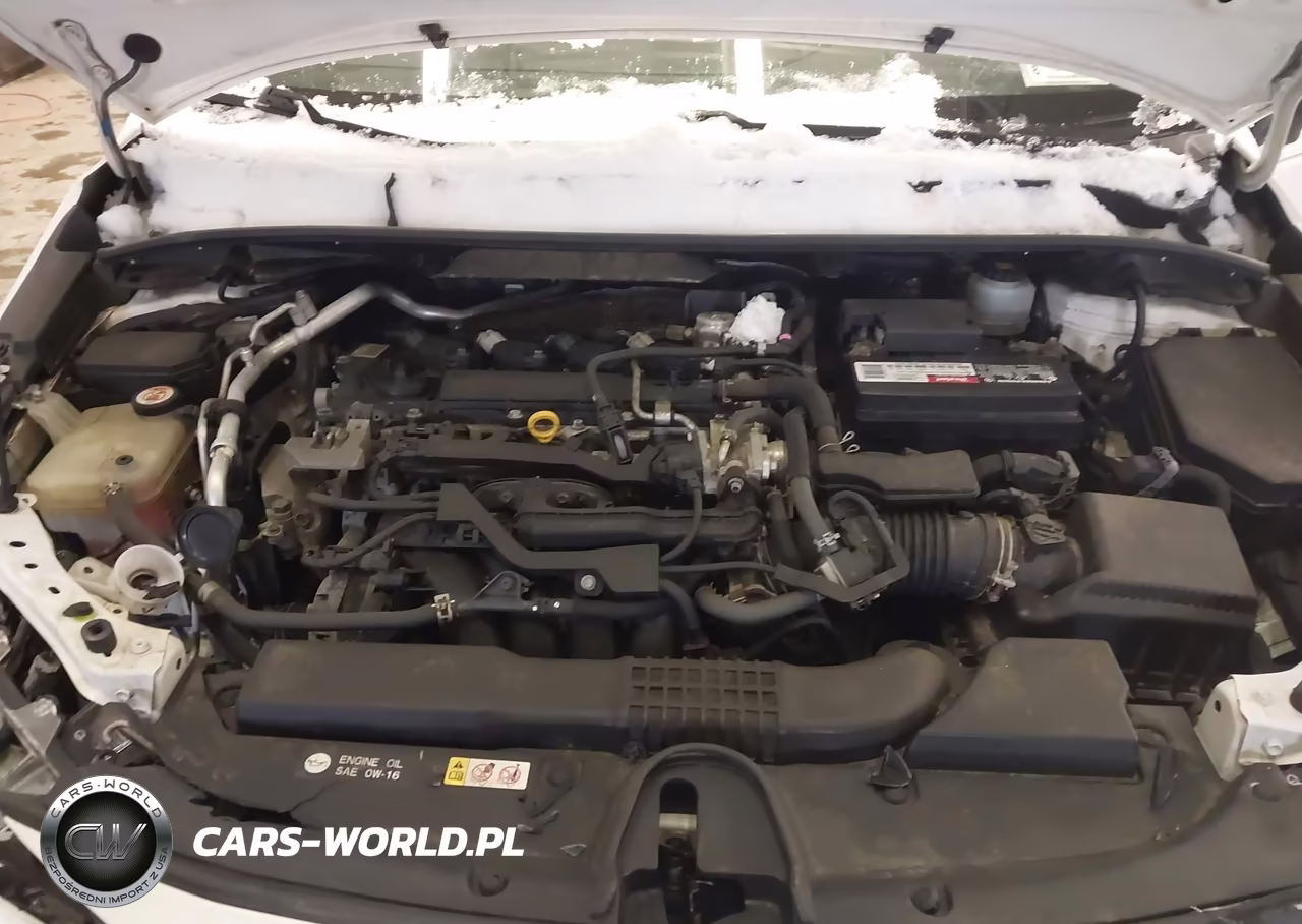 2019 Toyota Corolla Se VIN:JTNK4RBE3K3009525 - 10